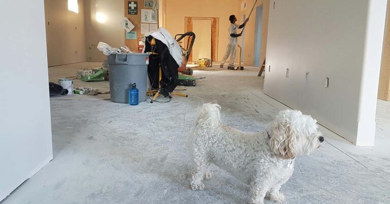 Concrete slab foundation of home interior